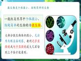 【新教材核心素養(yǎng)】北師大版生物八年級上冊5.12.1《微生物的特點和主要類型》第1課時（教學課件+教學設(shè)計）