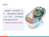 【新教材核心素養(yǎng)】冀少版版生物七年級(jí)上冊(cè)1.1.4《細(xì)胞的生命活動(dòng)》（教學(xué)課件+教學(xué)設(shè)計(jì)）