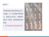 【新教材核心素養(yǎng)】冀少版版生物七年級(jí)上冊(cè)1.2.1《細(xì)胞的分裂》（教學(xué)課件+教學(xué)設(shè)計(jì)）