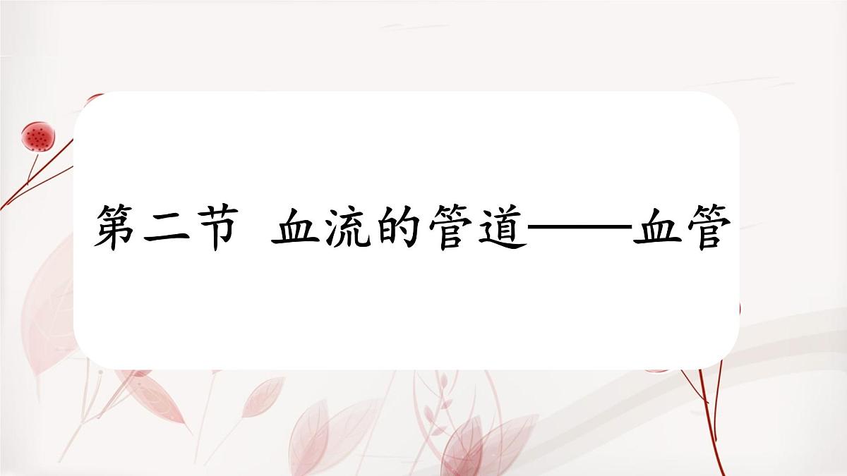 人教版初中生物七下4.4.2 血流的管道──血管课件第2页