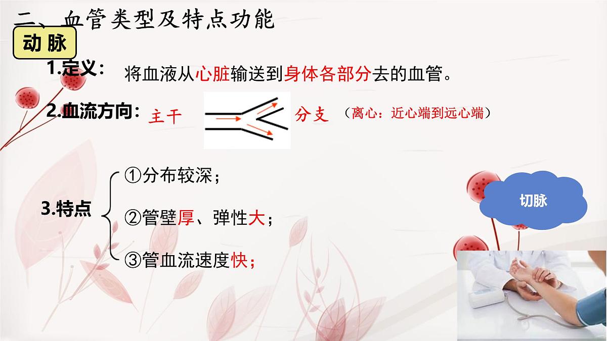 人教版初中生物七下4.4.2 血流的管道──血管课件第8页