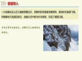 1.1.1生物具有基本的生命特征——初中生物學(xué)濟(jì)南版（2024）七年級(jí)上冊(cè)教學(xué)課件