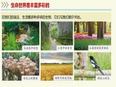 1.1.1生物具有基本的生命特征——初中生物學(xué)濟(jì)南版（2024）七年級(jí)上冊(cè)教學(xué)課件