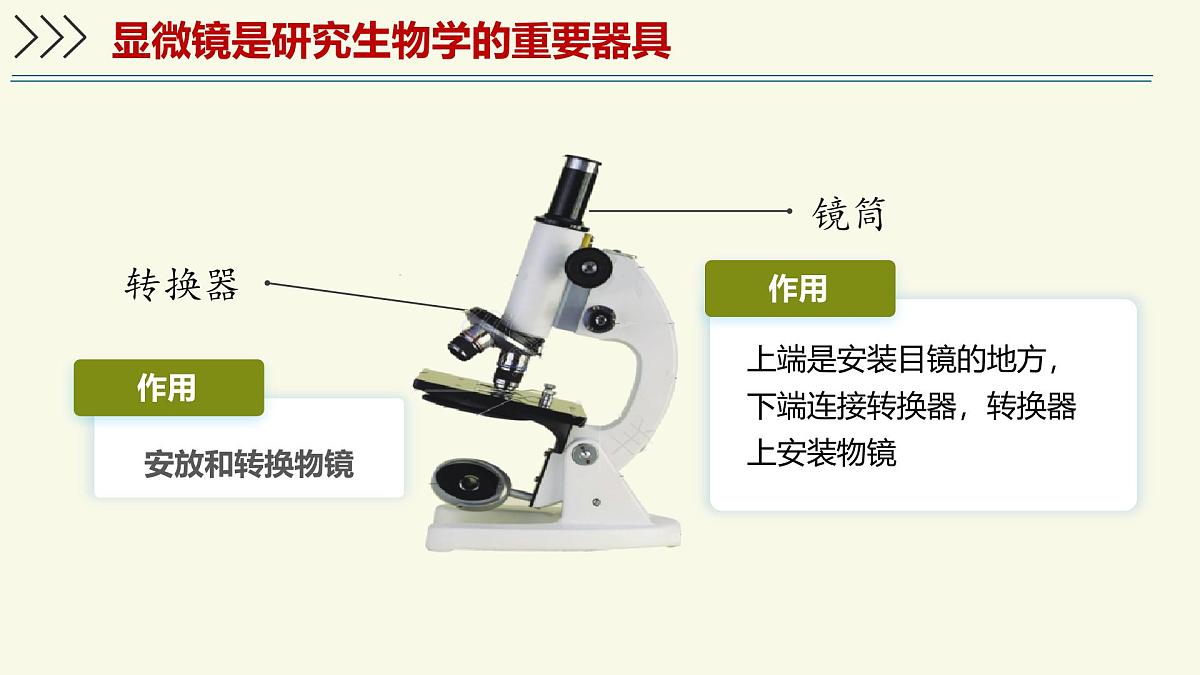 1.1.3研究生物学需要特定的器具-第1课时——初中生物学济南版（2024）七年级上册教学课件第7页