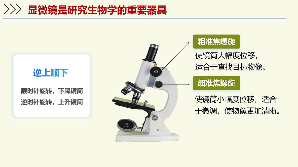 1.1.3研究生物学需要特定的器具-第1课时——初中生物学济南版（2024）七年级上册教学课件第8页