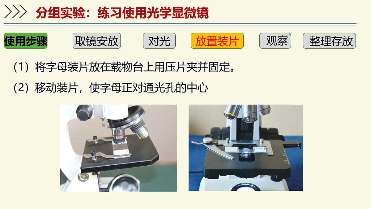 1.1.3研究生物学需要特定的器具-第2课时——初中生物学济南版（2024）七年级上册教学课件第6页