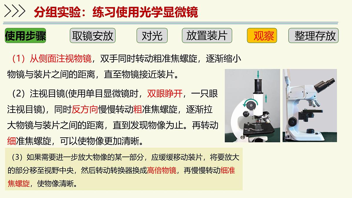 1.1.3研究生物学需要特定的器具-第2课时——初中生物学济南版（2024）七年级上册教学课件第7页