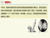 1.2.1細胞是生物體結(jié)構(gòu)和功能的基本單位-第1課時（教學(xué)課件）——初中生物學(xué)濟南版（2024）七年級上冊