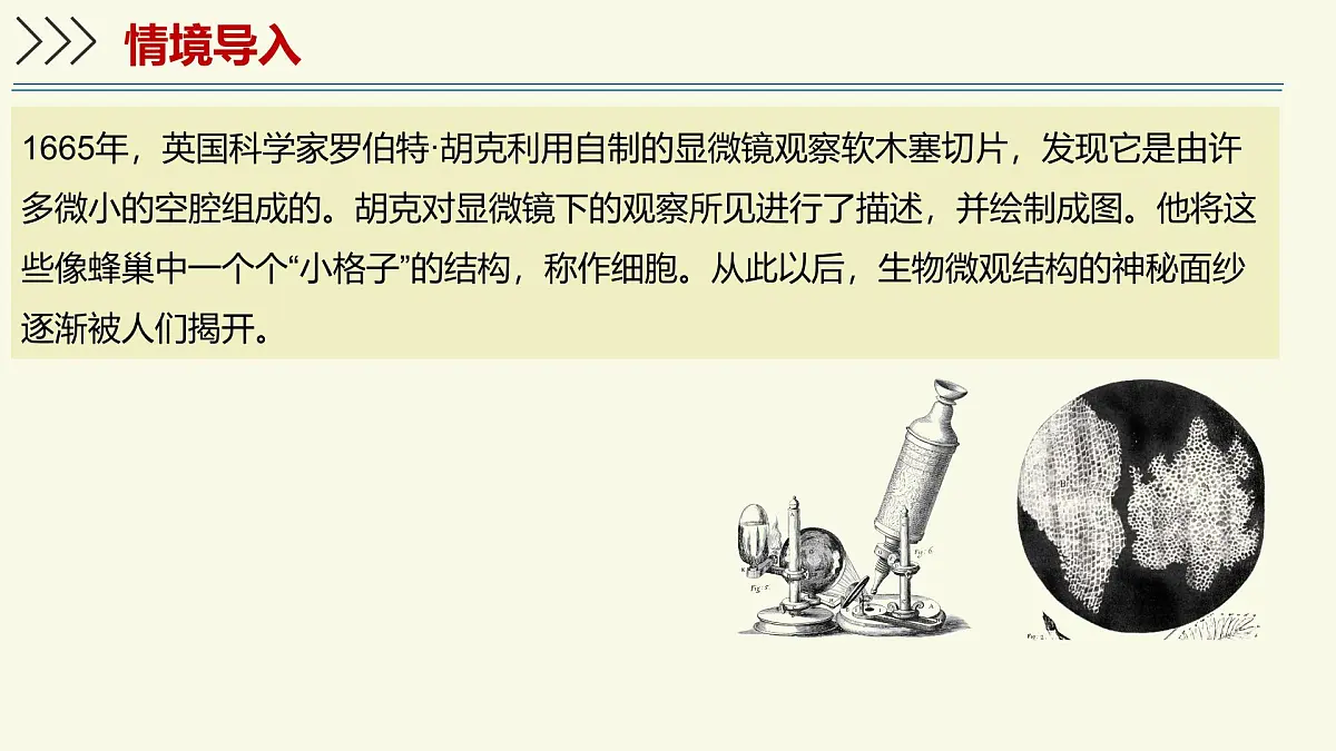 1.2.1细胞是生物体结构和功能的基本单位-第1课时（教学课件）——初中生物学济南版（2024）七年级上册第3页