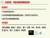 1.2.1細胞是生物體結(jié)構(gòu)和功能的基本單位-第1課時（教學(xué)課件）——初中生物學(xué)濟南版（2024）七年級上冊