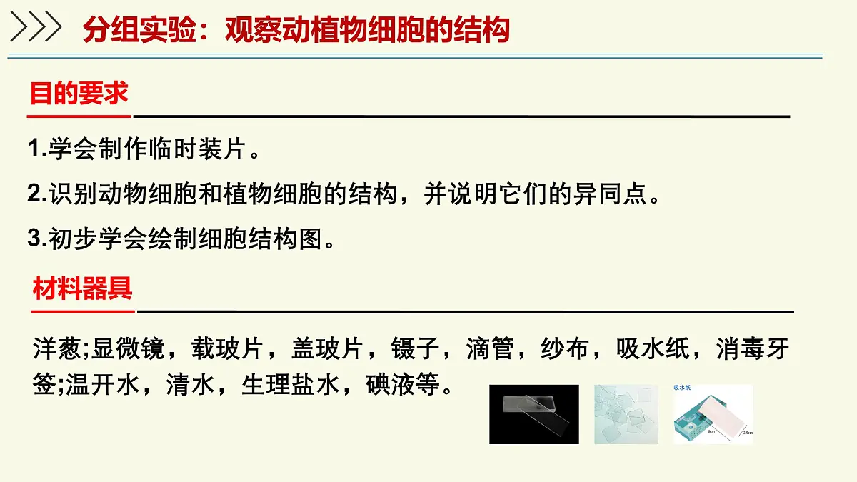 1.2.1细胞是生物体结构和功能的基本单位-第1课时（教学课件）——初中生物学济南版（2024）七年级上册第5页