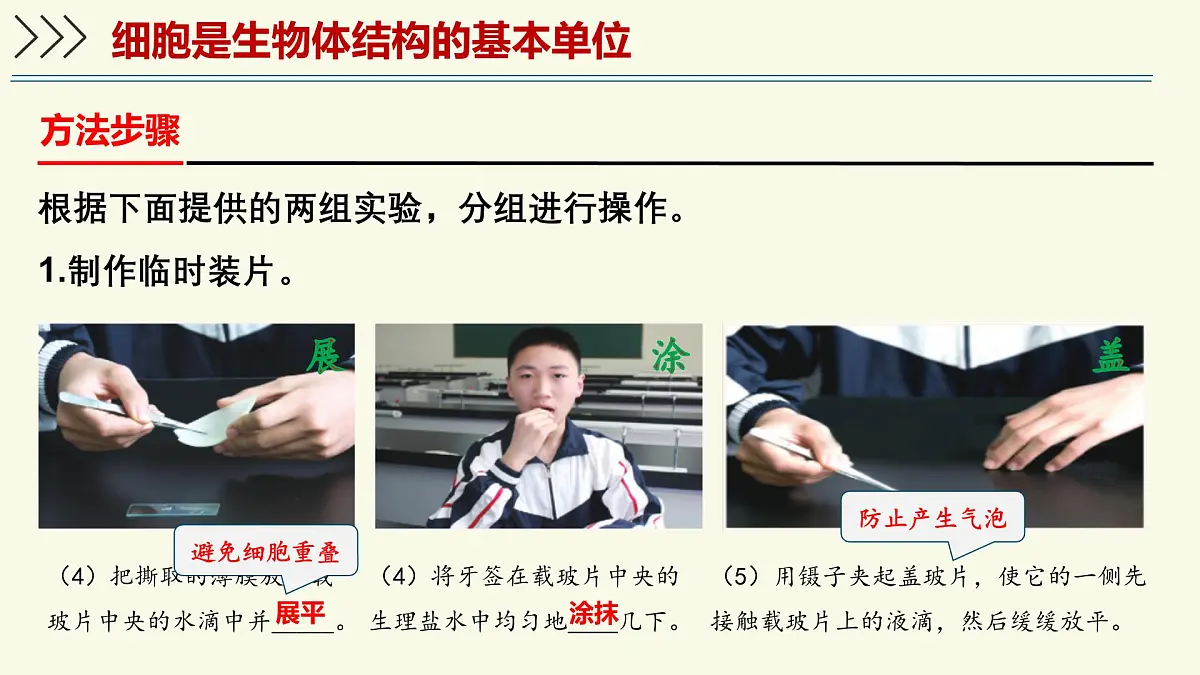 1.2.1细胞是生物体结构和功能的基本单位-第1课时（教学课件）——初中生物学济南版（2024）七年级上册第7页