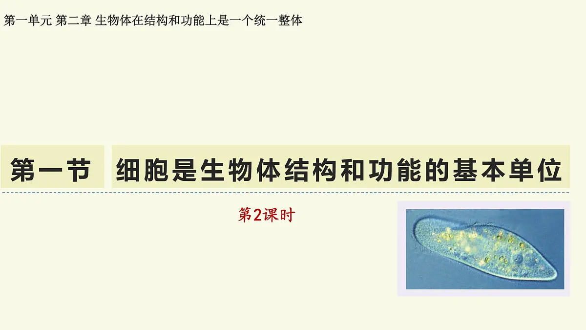 1.2.1细胞是生物体结构和功能的基本单位-第2课时（教学课件）——初中生物学济南版（2024）七年级上册教学第1页
