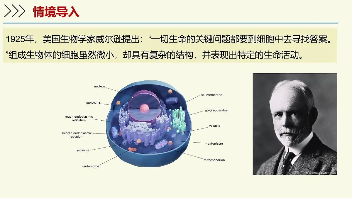1.2.1细胞是生物体结构和功能的基本单位-第2课时（教学课件）——初中生物学济南版（2024）七年级上册教学第3页