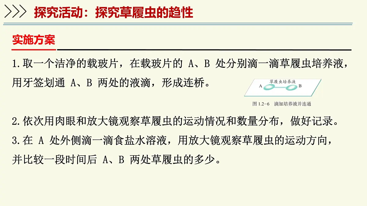 1.2.1细胞是生物体结构和功能的基本单位-第2课时（教学课件）——初中生物学济南版（2024）七年级上册教学第6页