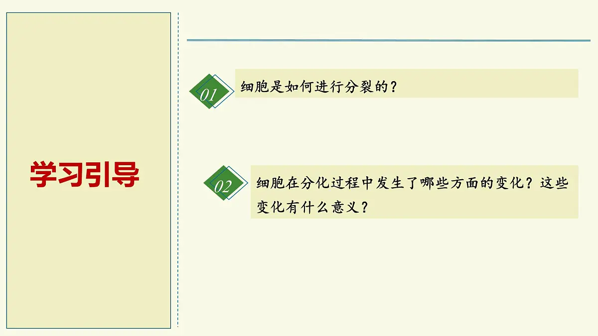 1.2.2细胞通过分裂和分化形成不同组织-第1课时（教学课件）——初中生物学济南版（2024）七年级上册第2页