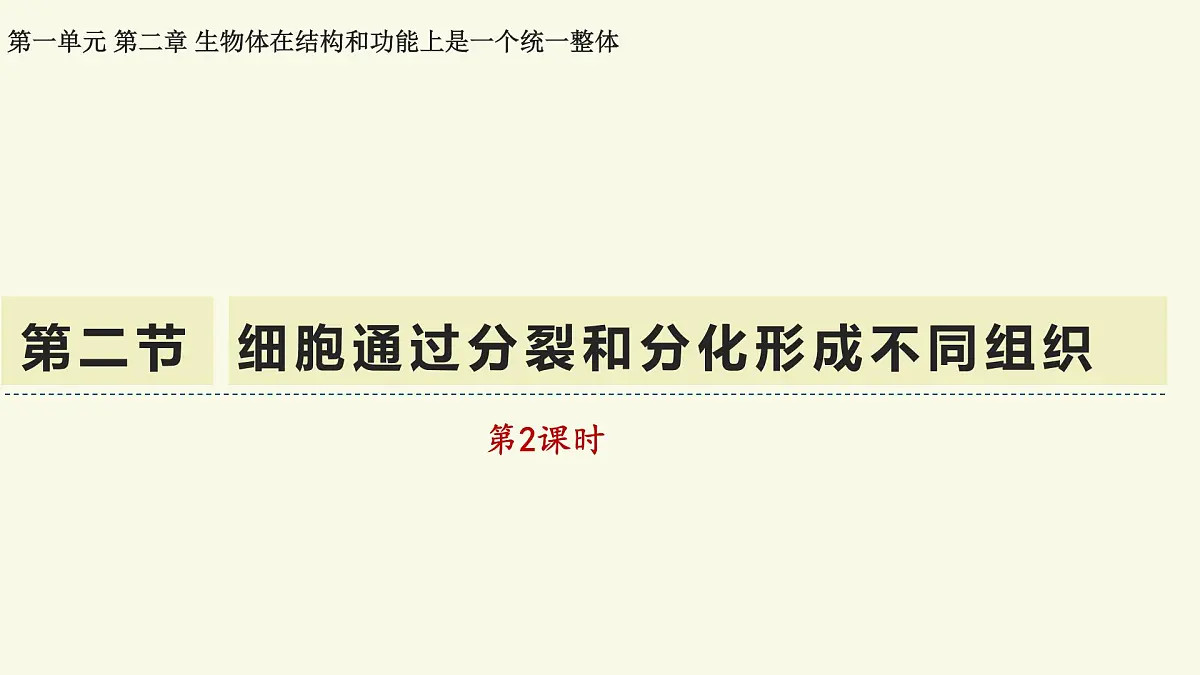 1.2.2细胞通过分裂和分化形成不同组织-第2课时（教学课件）——初中生物学济南版（2024）七年级上册第1页