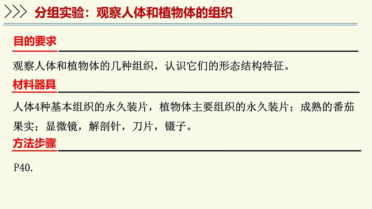 1.2.2细胞通过分裂和分化形成不同组织-第2课时（教学课件）——初中生物学济南版（2024）七年级上册第4页