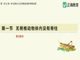 2.2.1無(wú)脊椎動(dòng)物體內(nèi)沒(méi)有脊柱-第2課時(shí)（教學(xué)課件）——初中生物學(xué)濟(jì)南版（2024）七年級(jí)上冊(cè)課件