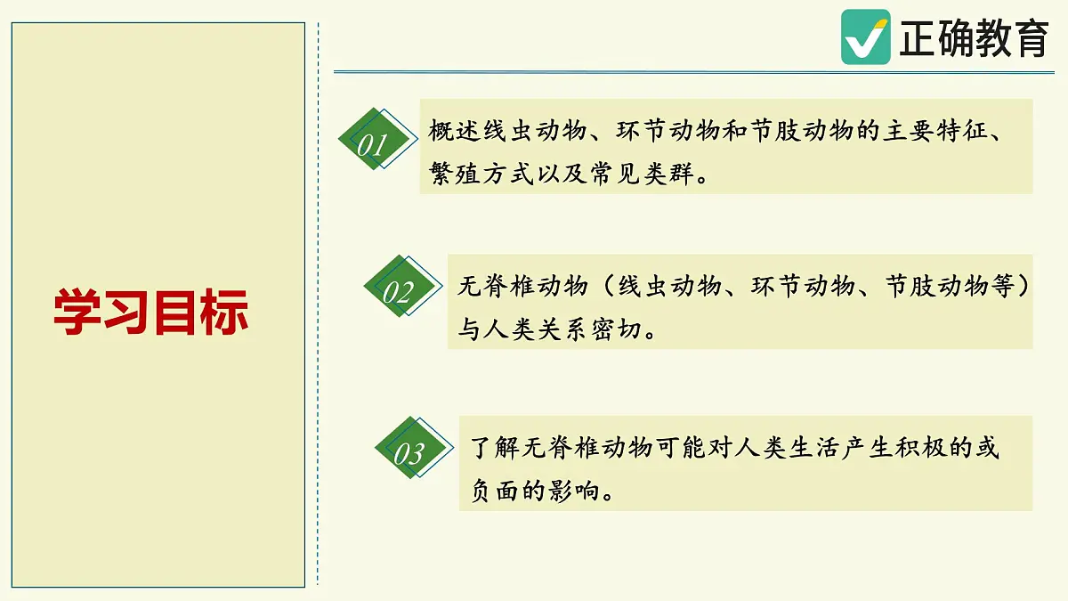 2.2.1无脊椎动物体内没有脊柱-第2课时（教学课件）——初中生物学济南版（2024）七年级上册课件第2页