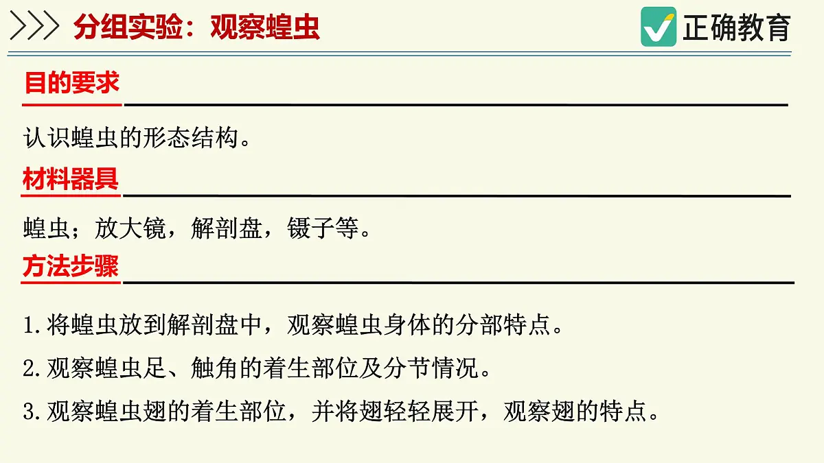2.2.1无脊椎动物体内没有脊柱-第2课时（教学课件）——初中生物学济南版（2024）七年级上册课件第5页