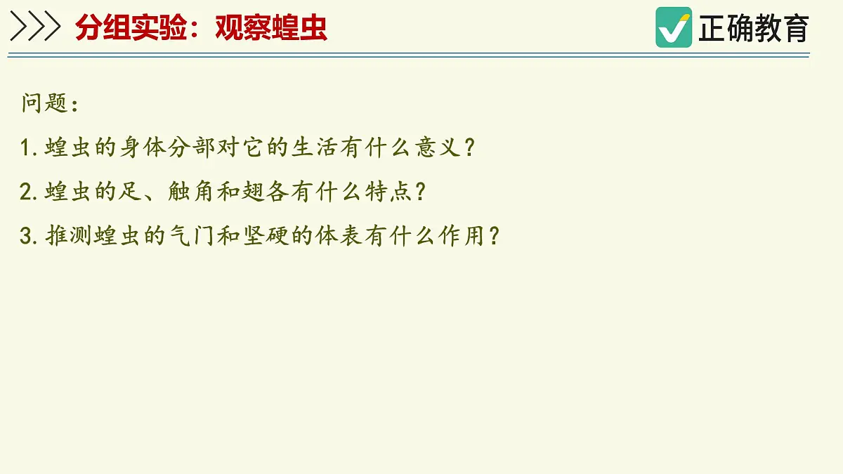 2.2.1无脊椎动物体内没有脊柱-第2课时（教学课件）——初中生物学济南版（2024）七年级上册课件第7页