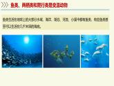 2.2.2脊椎動(dòng)物身體背部有脊柱-第1課時(shí)（教學(xué)課件）——初中生物學(xué)濟(jì)南版（2024）七年級(jí)上冊(cè)課件