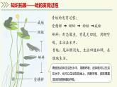 2.2.2脊椎動(dòng)物身體背部有脊柱-第2課時(shí)（教學(xué)課件）——初中生物學(xué)濟(jì)南版（2024）七年級(jí)上冊(cè)