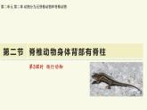 2.2.2脊椎動(dòng)物身體背部有脊柱-第3課時(shí)（教學(xué)課件）——初中生物學(xué)濟(jì)南版（2024）七年級(jí)上冊(cè)課件