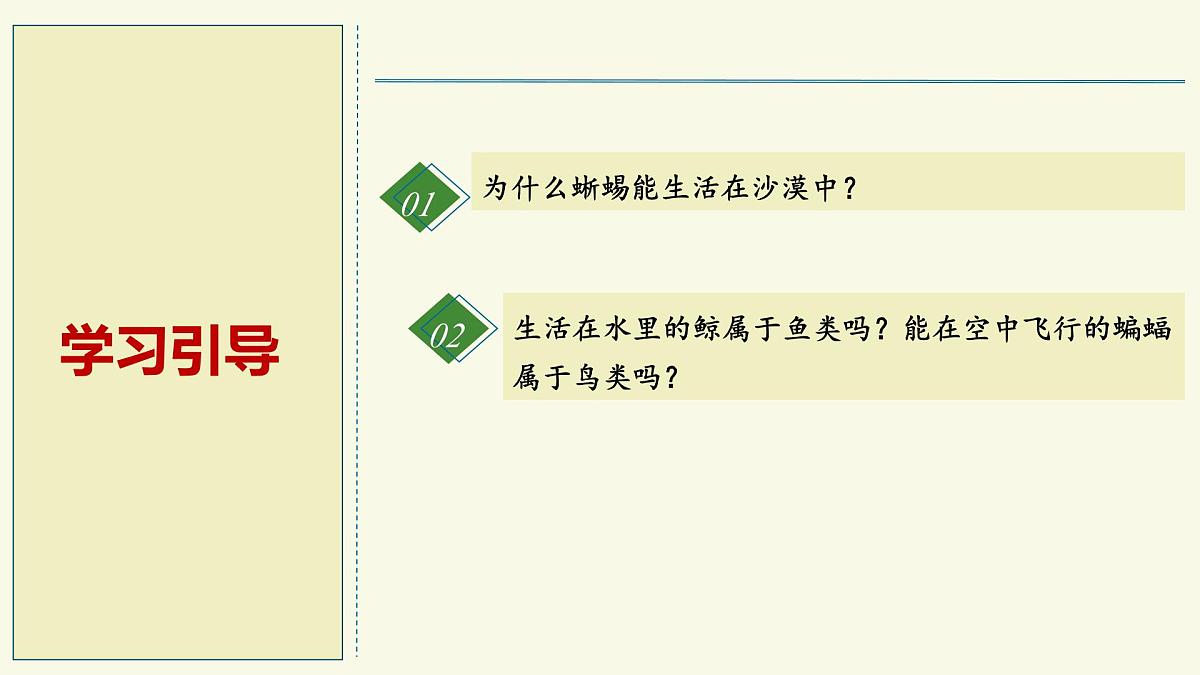 2.2.2脊椎动物身体背部有脊柱-第3课时（教学课件）——初中生物学济南版（2024）七年级上册课件第2页
