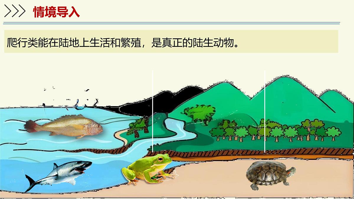 2.2.2脊椎动物身体背部有脊柱-第3课时（教学课件）——初中生物学济南版（2024）七年级上册课件第3页