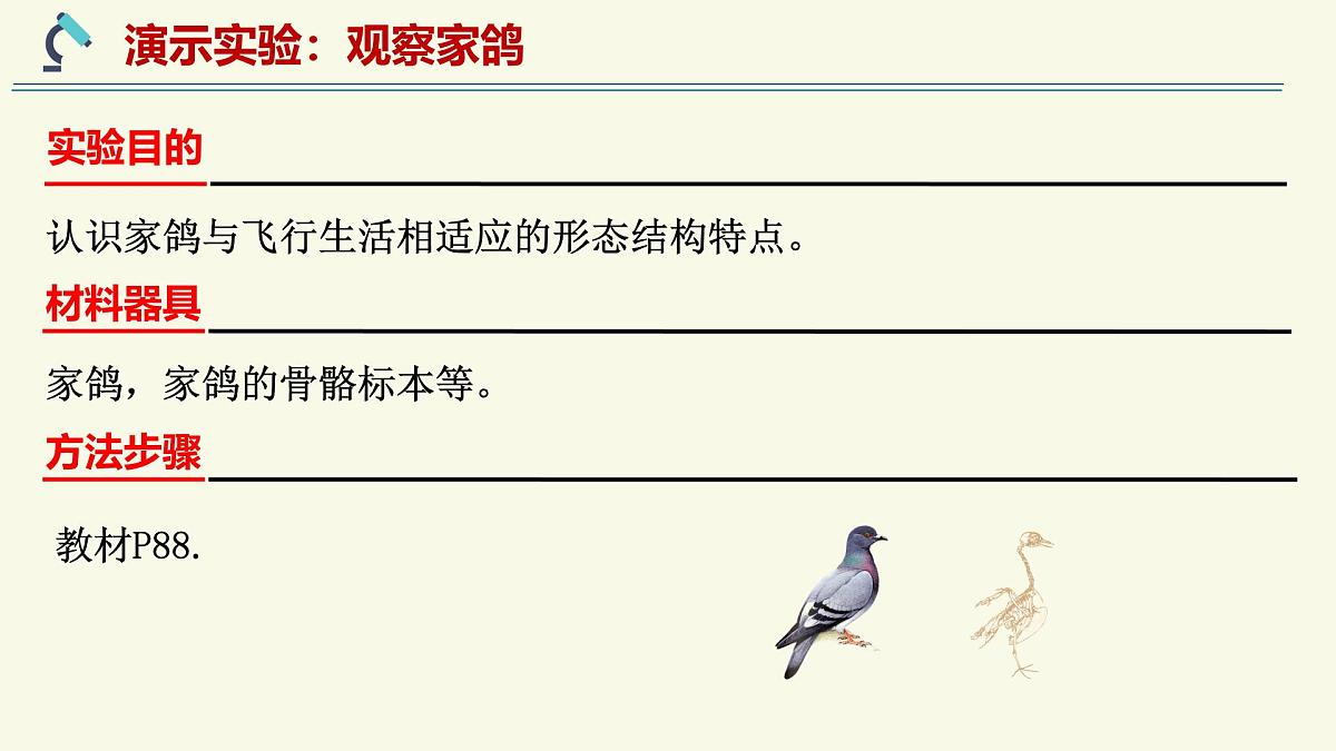 2.2.2脊椎动物身体背部有脊柱-第4课时（教学课件）——初中生物学济南版（2024）七年级上册课件第5页