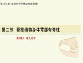 2.2.2脊椎動(dòng)物身體背部有脊柱-第5課時(shí)（教學(xué)課件）——初中生物學(xué)濟(jì)南版（2024）七年級(jí)上冊(cè)課件