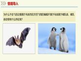 2.2.2脊椎動(dòng)物身體背部有脊柱-第5課時(shí)（教學(xué)課件）——初中生物學(xué)濟(jì)南版（2024）七年級(jí)上冊(cè)課件