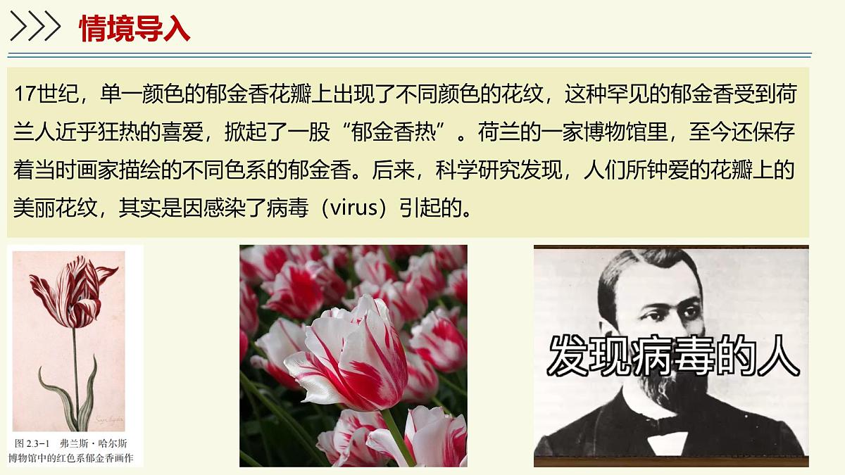 2.3.1病毒是没有细胞结构的生物（教学课件）——初中生物学济南版（2024）七年级上册第3页