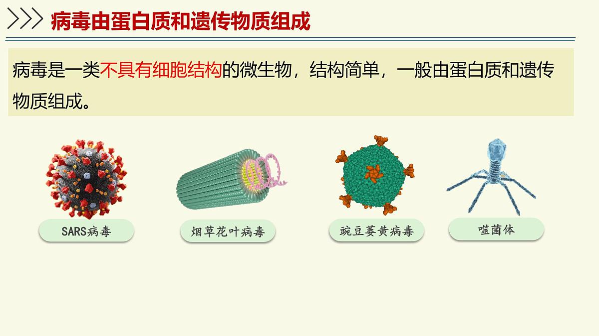2.3.1病毒是没有细胞结构的生物（教学课件）——初中生物学济南版（2024）七年级上册第6页