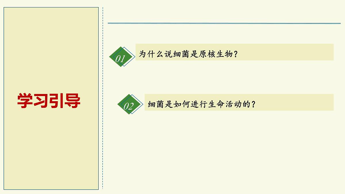 2.3.2细菌是原核生物（教学课件）——初中生物学济南版（2024）七年级上册第2页