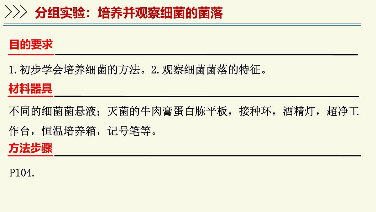 2.3.2细菌是原核生物（教学课件）——初中生物学济南版（2024）七年级上册第5页