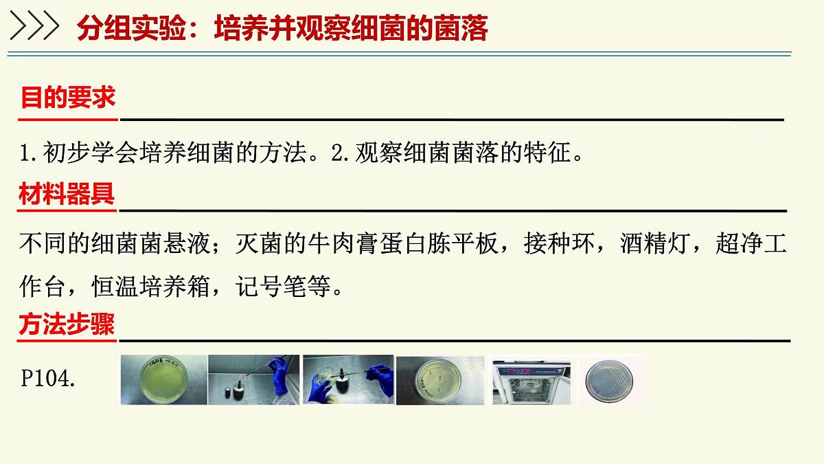 2.3.2细菌是原核生物（教学课件）——初中生物学济南版（2024）七年级上册第6页