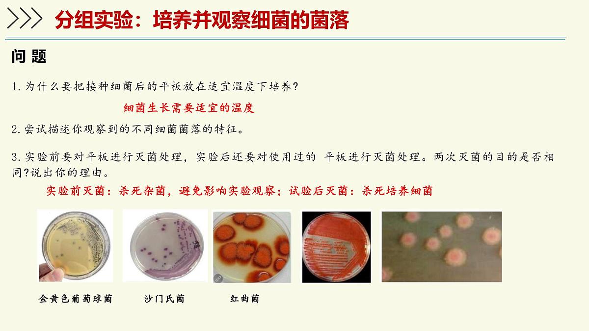2.3.2细菌是原核生物（教学课件）——初中生物学济南版（2024）七年级上册第7页