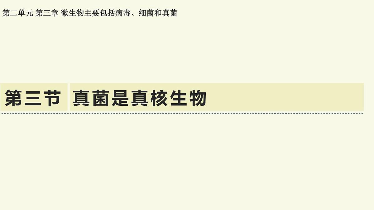 2.3.3真菌是真核生物——初中生物学济南版（2024）七年级上册课件第1页