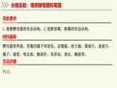 2.3.3真菌是真核生物——初中生物學(xué)濟(jì)南版（2024）七年級(jí)上冊(cè)課件