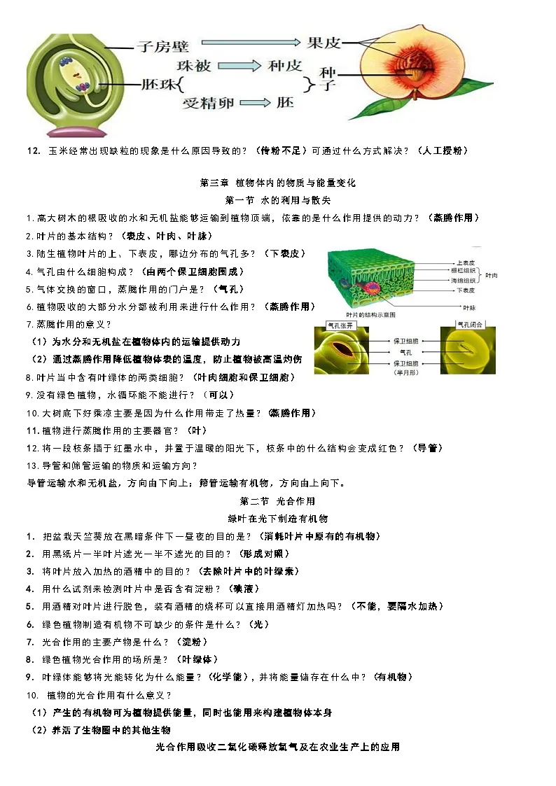 人教版（2024）七年级下册生物期末复习：全册知识点背诵提纲 学案第3页