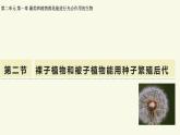 2.1.2裸子植物和被子植物能用種子繁殖后代（教學(xué)課件）——初中生物學(xué)濟(jì)南版（2024）七年級(jí)上冊(cè)