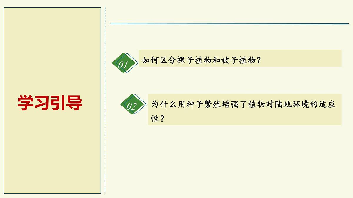 2.1.2裸子植物和被子植物能用种子繁殖后代（教学课件）——初中生物学济南版（2024）七年级上册第2页