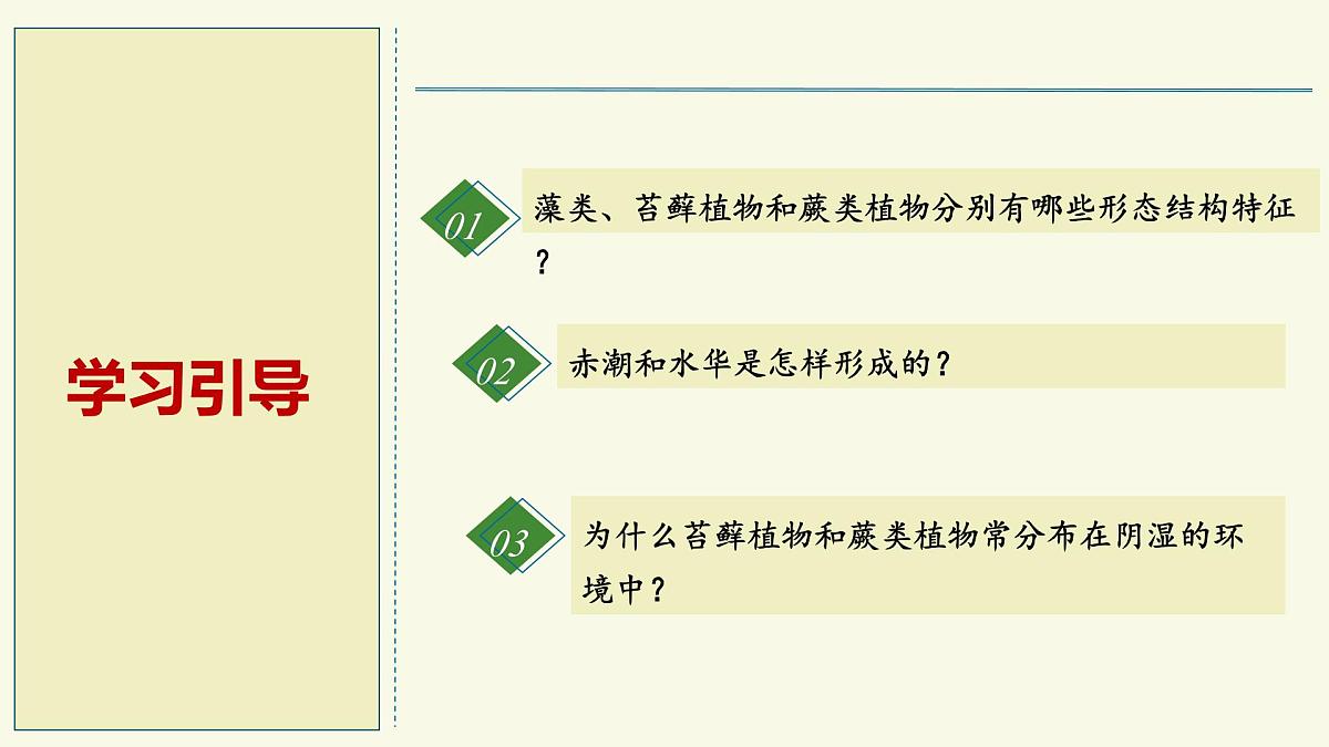 2.1.1藻类、苔藓植物和蕨类植物能用孢子繁殖后代-第2课时（教学课件）——初中生物学济南版（2024）七年级上册课件第2页