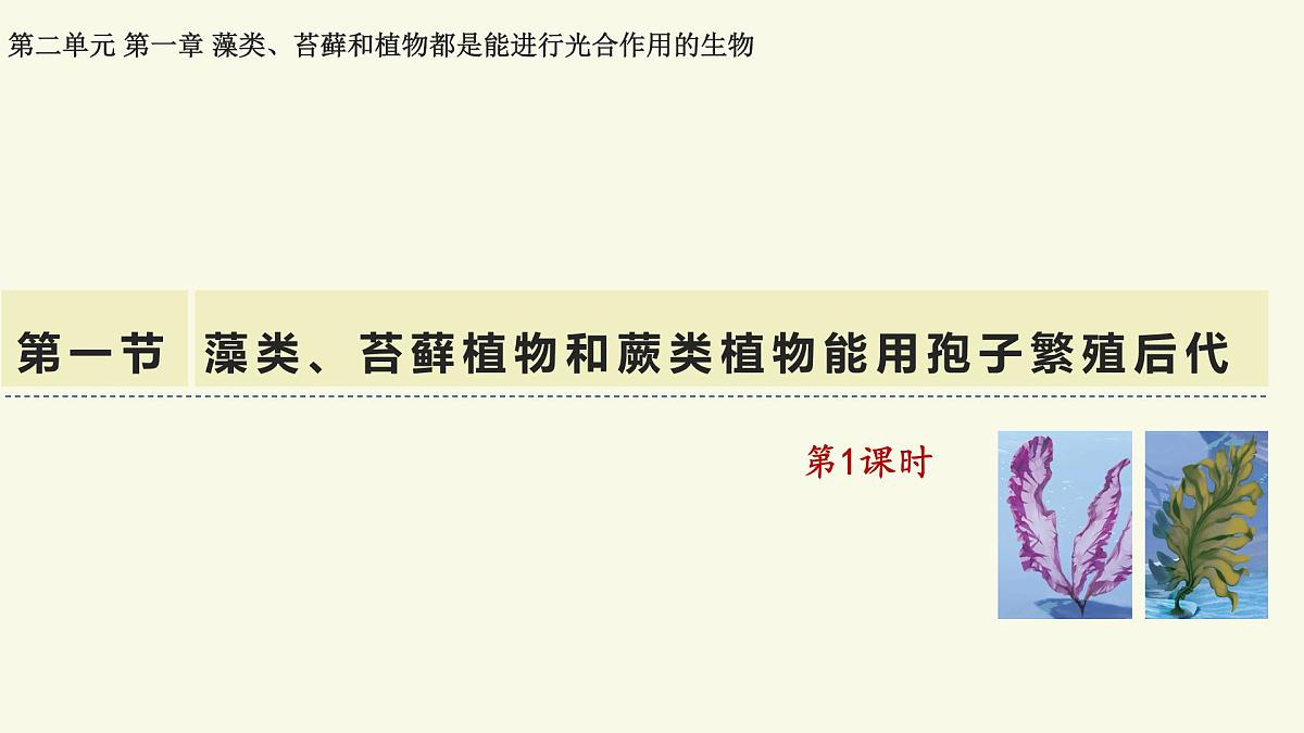 2.1.1藻类、苔藓植物和蕨类植物能用孢子繁殖后代-第1课时——初中生物学济南版（2024）七年级上册课件第1页