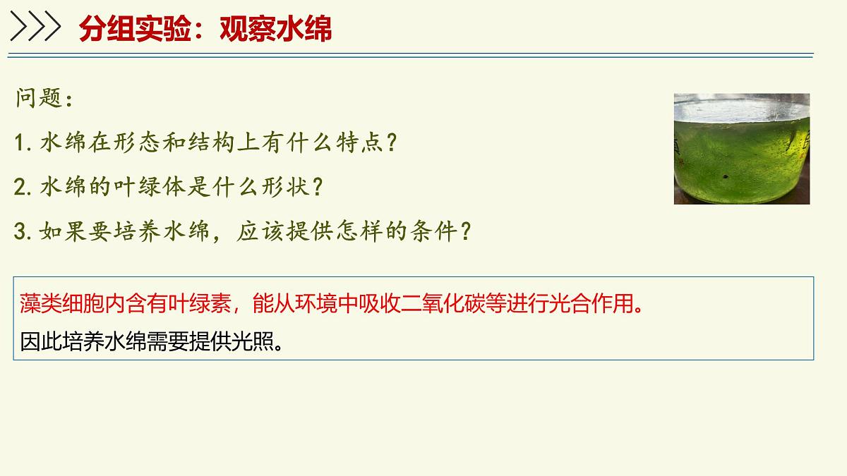 2.1.1藻类、苔藓植物和蕨类植物能用孢子繁殖后代-第1课时——初中生物学济南版（2024）七年级上册课件第7页