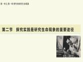 1.1.2科學探究是研究生命現(xiàn)象的重要途徑——初中生物學濟南版（2024）七年級上冊教學課件