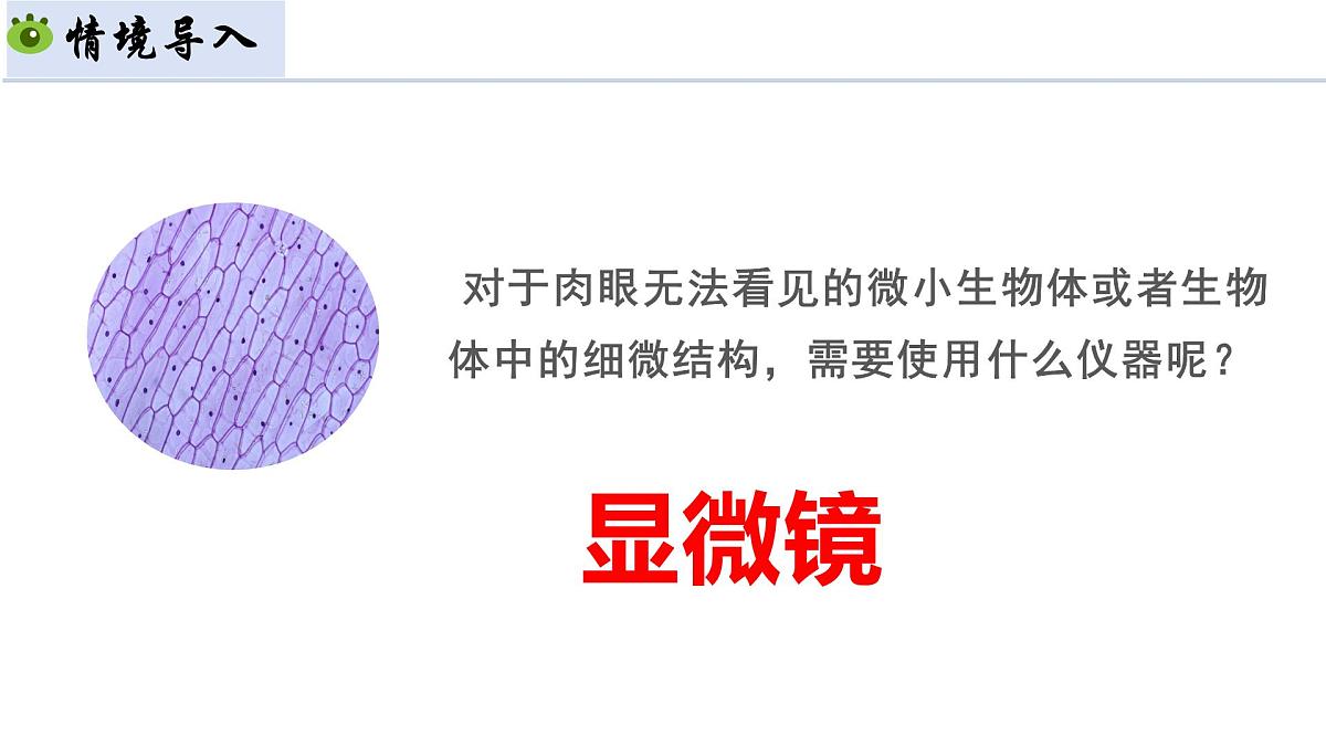 1.2.1 细胞 第1课时 显微镜的使用（教学课件）-2025-2026学年七年级生物上册（北京版2024）第4页